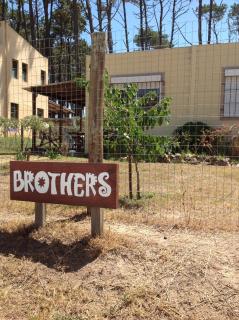 Casa Ocean Park - Brothers - Ocean Park - 9
