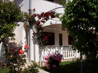 Apartments Barac - 1