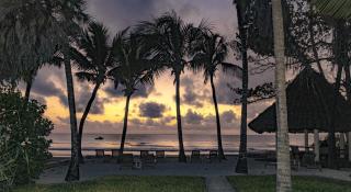 Blue Marlin Beach Hotel - Diani Beach - 2
