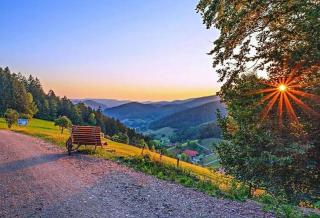 Ferienhaus Wendelinus mit Pool & Sauna - Hausach - 4