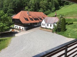 Ferienhaus Wendelinus mit Pool & Sauna - Hausach - 7
