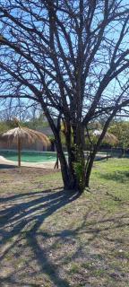 Complejo Megevand - 9