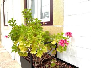 Vila Rosário studios 2 by Homeful Homes - 7