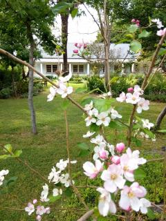 Fleur Bleue B&B - 1