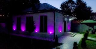 Green Garden Garni - 6