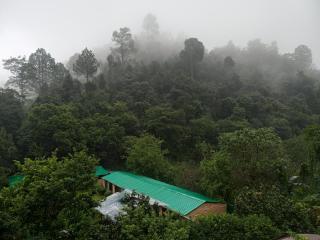 Sparrow Woods Eco Resort - Nainital - 2