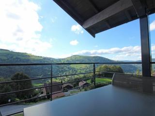 Chalet à La Bresse avec cheminée et garage - FR-1-589-385 - La Bresse - 8