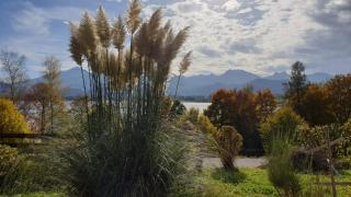 Landhaus Amberg Hopfen am See // Hopfensee // Füssen - Füssen - 4