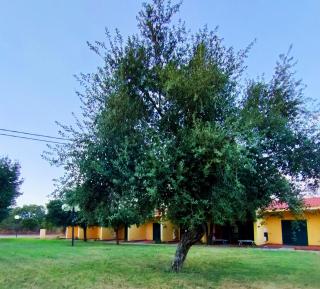 Nuraghe Ruiu Camping & Bungalow - Norbello - 0