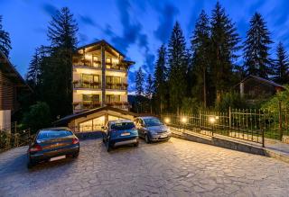 Pensiunea Hilltop - Predeal - 9