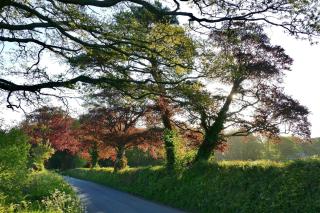 East Hillerton House Studio - Spreyton - 5