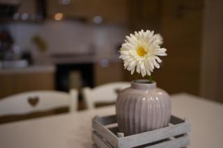 Il Borgo Appartamenti - 6