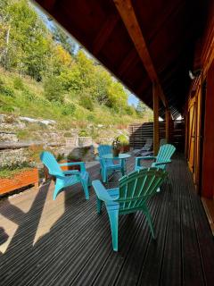 Chalet Des Feignes - La Bresse - 9