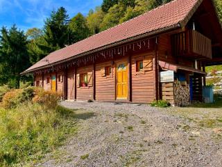 Chalet Des Feignes - La Bresse - 6