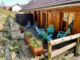 Chalet Des Feignes - La Bresse - 7