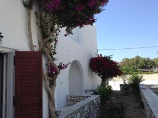 Irene Hotel - Beachfront - Parikia - 8