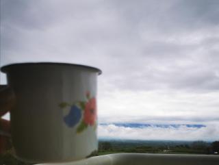 Guaduales del café 511 A en montenegro - Montenegro - 8