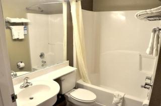 Microtel Inn & Suites by Wyndham Lithonia/Stone Mountain - Lithonia - 1