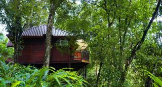 Southern Panorama Indriya Resorts & Spa - 1