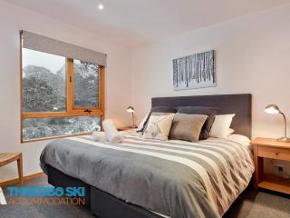Pinnibar 2 - Thredbo - 6