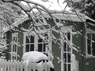 Woodland Cabin With private Wood-Fired Hot-Tub - Farnham - 8
