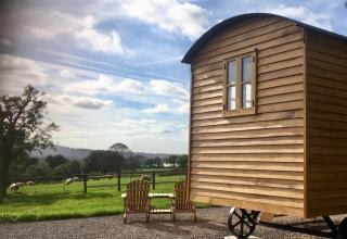Shepherd’s Hut - The Mule - 9