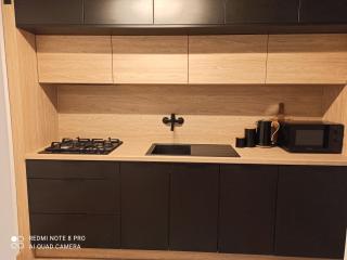 Studio Park Śląski Katowice/Chorzów - 4