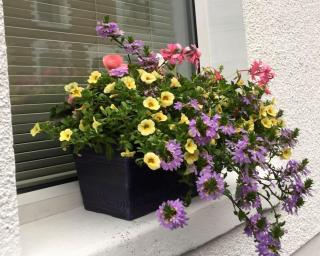 Belfast townhouse in prime location in Belfast City - Belfast - 7