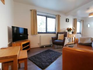 Cottage by the river in Cenarth with fishing and Wifi - 2