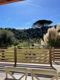 Tenuta calidarius - Baia - 8