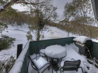 Ski In Ski Out 6 - Thredbo - 5