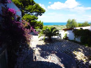 Residenza Collina Dei Pini - Vieste - 3