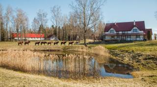 Zirgu sēta "Klajumi" - Horse ranch "Klajumi" - Kaplava - 0