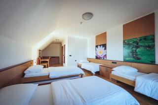 Pohorje Village Wellbeing Resort - Forest Hotel Videc - 2