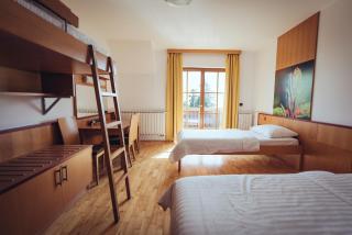 Pohorje Village Wellbeing Resort - Forest Hotel Videc - Hočko Pohorje - 1