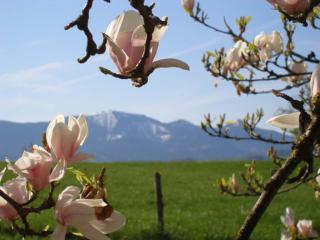 Gschwingerhof - Riedering - 2