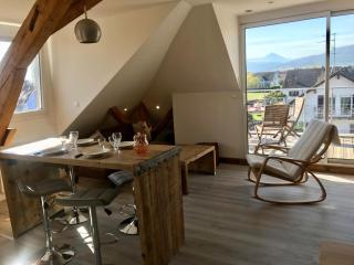Appartement chaleureux et lumineux avec vue ! au centre Alsace - Sélestat - 4