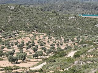 Campo Golden Heritage OFF GRID - 2