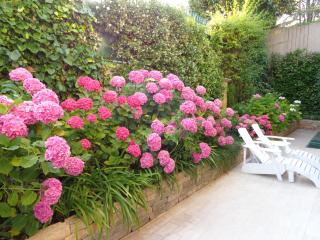 B&B Villa Feline - Cannes - 6