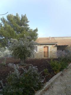 Montanhas do Douro - Paredes da Beira - 8