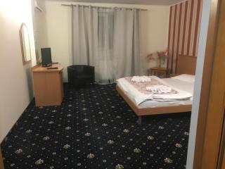 Hotel Vandia - Timişoara - 1