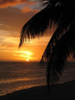 Sands Villas - 8