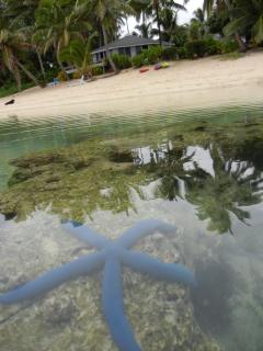 Sands Villas - Rarotonga - 6