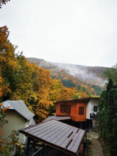 Casa Flandria - 0