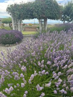 Dungeness Barn House Bed and Breakfast at Two Crows Farm - 3