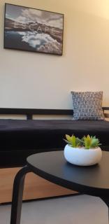 Grenoble hyper-centre + WiFi + Netflix - 9