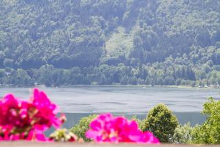 FEWO Wonta am Ossiachersee - Sattendorf - 8