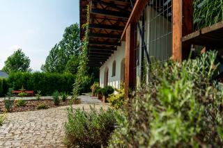 Winnica Płochockich Country House - Pielaszów - 7