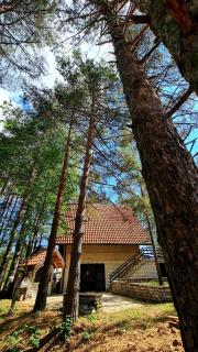 PLANINSKA VILA SMIGIC - 9