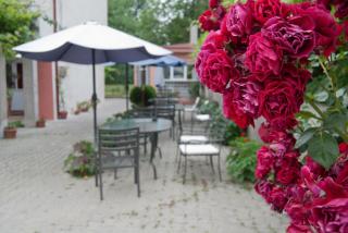 Hotel Laguna - Eforie Nord - 2